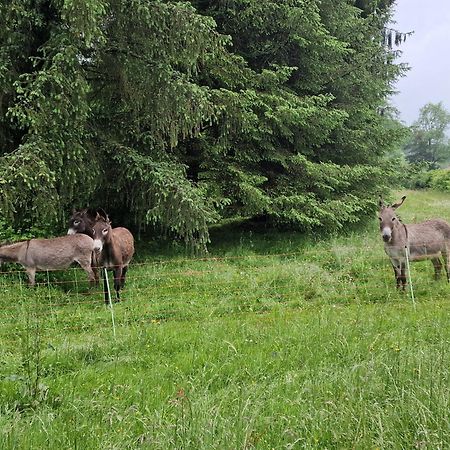 Maison Du Bonheur Gan Rom bilde